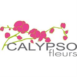 Calypso Fleurs Artisan Fleuriste, Tournefeuille - Horaires d'ouverture
