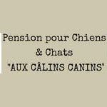 Aux calins canins, Saulnières - Horaires d'ouverture