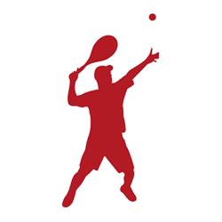 Académie Française de Tennis, Colombiers-du-Plessis - Horaires d'ouverture