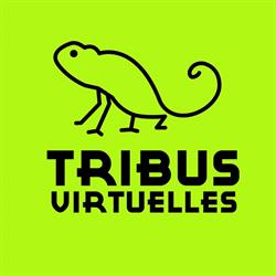TRIBUS VIRTUELLES SAS, Ploeren - Horaires d'ouverture