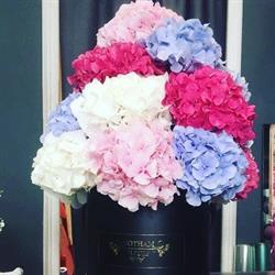 GOTHAM FLEURS, Beausoleil - Horaires d'ouverture