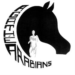 Agathé Arabians, Agde - Horaires d'ouverture