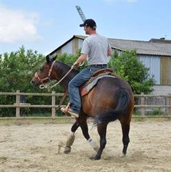 Ranch de la Zembs, Herbsheim - Horaires d'ouverture