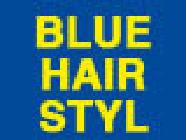 Blue Hair Styl, Parentis-en-Born - Horaires d'ouverture