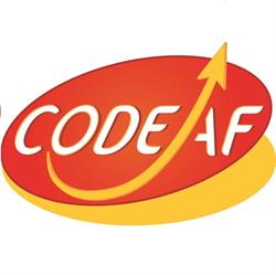 CODEAF Conseil performance entreprise TPE PME Toulouse Montauban, - Horaires d'ouverture