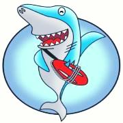 Piscine Blue shark, Sarzeau - Horaires d'ouverture