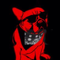 O Chien Rouge Nancy, - Horaires d'ouverture