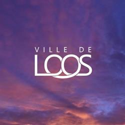 Hôtel de Ville de Loos, - Horaires d'ouverture