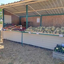 SCEA de la Plaine - Producteur local de fruits & légumes de saison, Jaunay-Marigny - Horaires d'ouverture