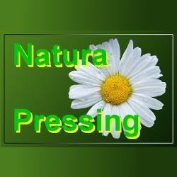 Natura Pressing Mannu Service, Viuz-en-Sallaz - Horaires d'ouverture