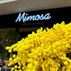 Mimosa artisan fleuriste, Chartres-de-Bretagne - Horaires d'ouverture