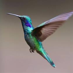 Colibri Esthétique, Maisons-Laffitte - Horaires d'ouverture