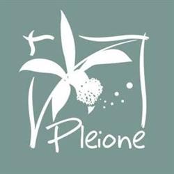 Pleione, Moret-Loing-et-Orvanne - Horaires d'ouverture