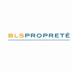 Bls Propreté, Saint-Max - Horaires d'ouverture