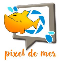 Pixel de Mer, Pluvigner - Horaires d'ouverture