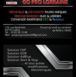 AD Garage Expert GO PRO LORRAINE, Houdelmont - Horaires d'ouverture