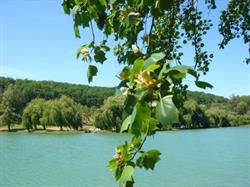 DOMAINE DU LAC DE GOULENS, Layrac - Horaires d'ouverture