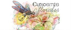 Curiosités Florales artisan fleuriste (et livraison), Toulouse - Horaires d'ouverture