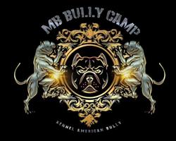 MB BULLY CAMP, Saint-Avold - Horaires d'ouverture