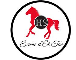 HORSE SALE ECURIE D EL TAO, Nîmes - Horaires d'ouverture