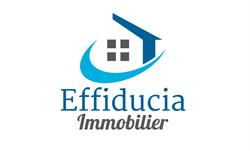 EFFIDUCIA IMMOBILIER, Jouy-le-Moutier - Horaires d'ouverture