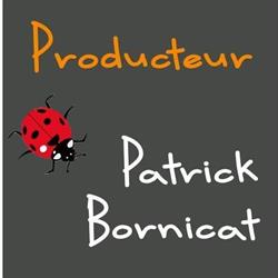 Bornicat Patrick, Genas - Horaires d'ouverture