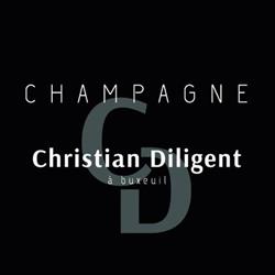 CHRISTIAN DILIGENT EARL, Buxeuil - Horaires d'ouverture