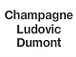 Champagne Ludovic Dumont, Chigny-les-Roses - Horaires d'ouverture