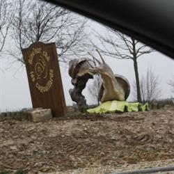 Yohann Paysage, Candé-sur-Beuvron - Horaires d'ouverture