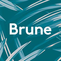 Brune, Lyon - Horaires d'ouverture