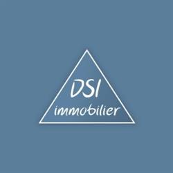 DIRECT SERVICE IMMOBILIER ( D S I ), Villeurbanne - Horaires d'ouverture