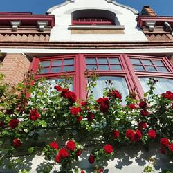 Au Troubadour, Lille - Horaires d'ouverture