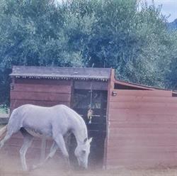 Cheval Libre 06, Nice - Horaires d'ouverture