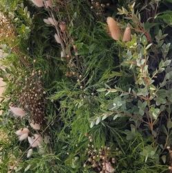 Garden Expo Méditerranée, Mougins - Horaires d'ouverture