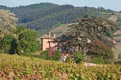 SCEA Domaine du Mont Verrier, Saint-Julien - Horaires d'ouverture