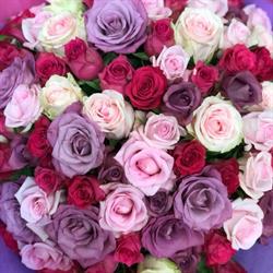 Atelier des fleurs, Saint-Quentin - Horaires d'ouverture