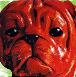 Le Chien Rouge, Albi - Horaires d'ouverture