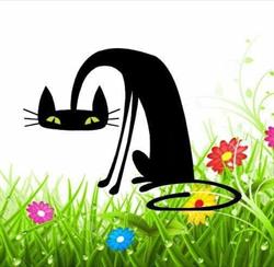APCLO - Association pour la Protection des Chats Libres d'Orléans, - Horaires d'ouverture