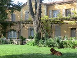 La Villa des Figuiers new propriétaires, Saint-Bonnet-du-Gard - Horaires d'ouverture