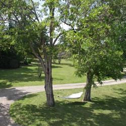 The Retreat @ Le Grand Bois, Miramont-de-Guyenne - Horaires d'ouverture