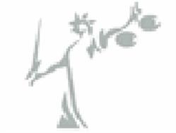 Mabouana Roger, Tours - Horaires d'ouverture