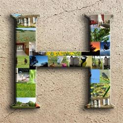 Haras de la Tour, Lamothe-Landerron - Horaires d'ouverture