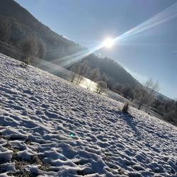 Domaine des Planesses, Ferdrupt - Horaires d'ouverture