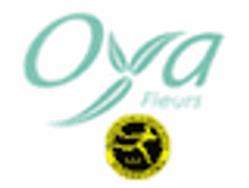 Oya Fleurs, Bordeaux - Horaires d'ouverture