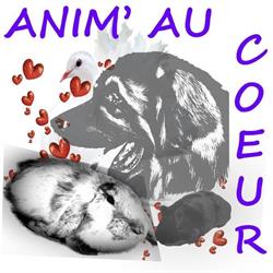 Anim'au Coeur, Saint-Gorgon - Horaires d'ouverture