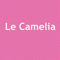 Le Camelia, Guilherand-Granges - Horaires d'ouverture