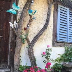 La Maison des 5 Temps chambres d'hôtes de charme - Ferrette, - Horaires d'ouverture