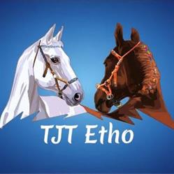 Association TJT Etho, Villefranche-de-Rouergue - Horaires d'ouverture