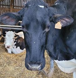 Ferme La Gentilhommière, Sermérieu - Horaires d'ouverture