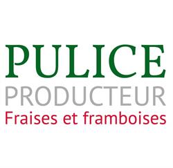 Pulice Gino, Chouzé-sur-Loire - Horaires d'ouverture